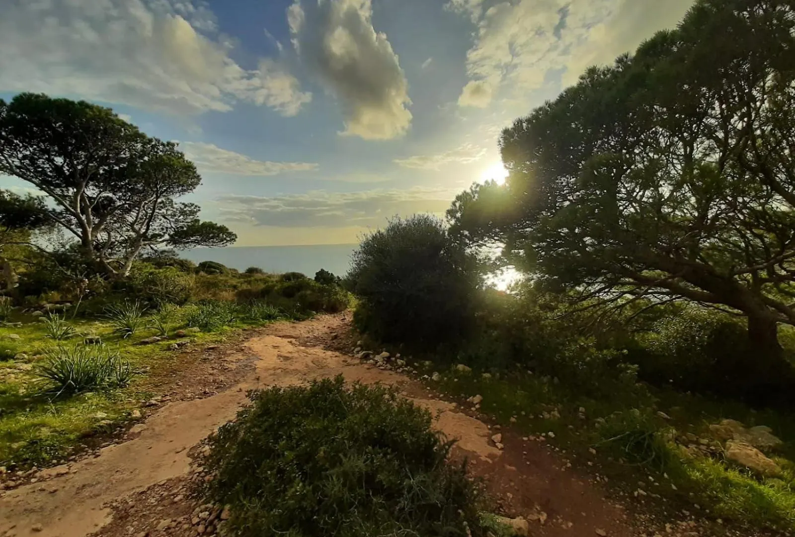 Vakantiehuis Resonance Experience - Villa Escape Surrounded By Nature & Ancient Sites Sant Isidoro