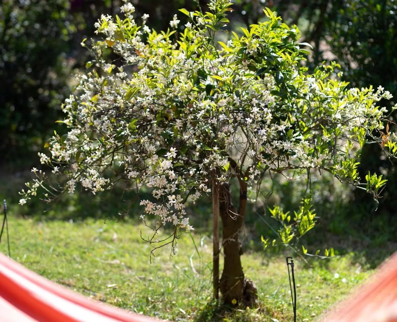 Resonance Experience - Villa Escape Surrounded By Nature & Ancient Sites Sant Isidoro