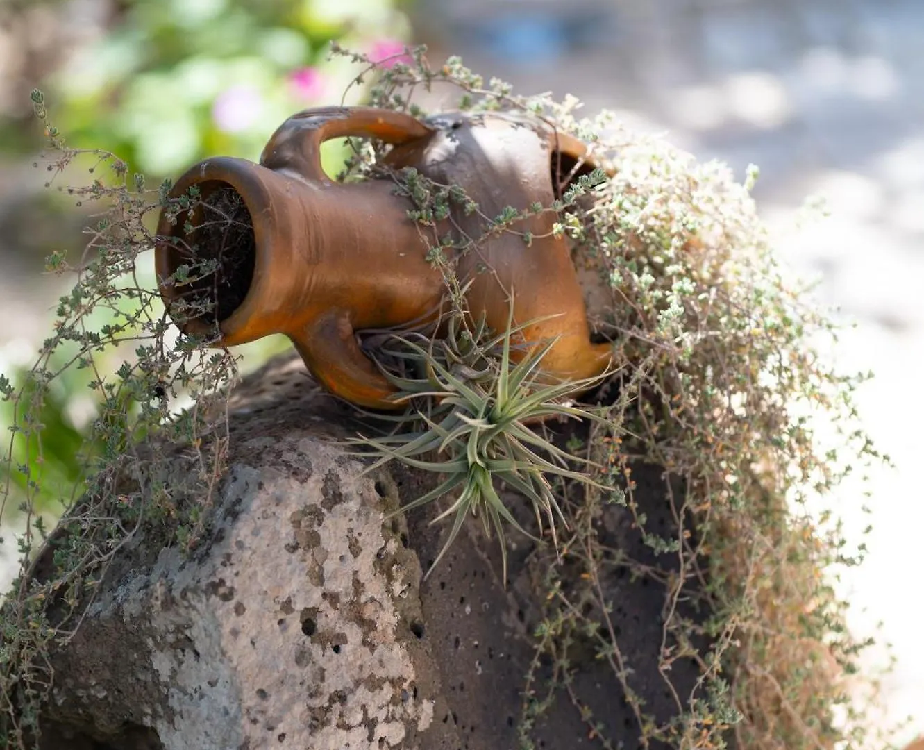 Resonance Experience - Healing Villa Escape Surrounded By Nature & Ancient Sites Sant Isidoro  Sant Isidoro (Sardinia)
